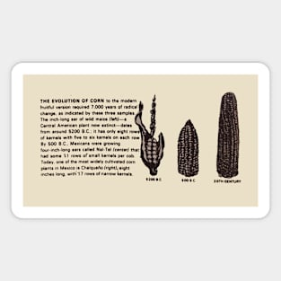 Corn Magnet